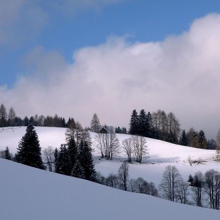 Urlaub Im Zirbenland Villa Obdach Buitenkant foto