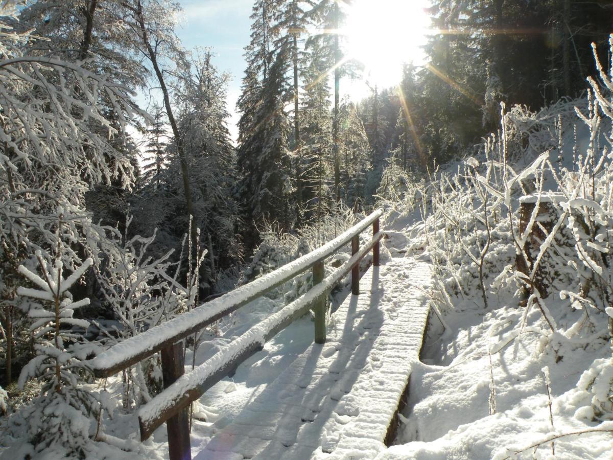 Urlaub Im Zirbenland Villa Obdach Buitenkant foto