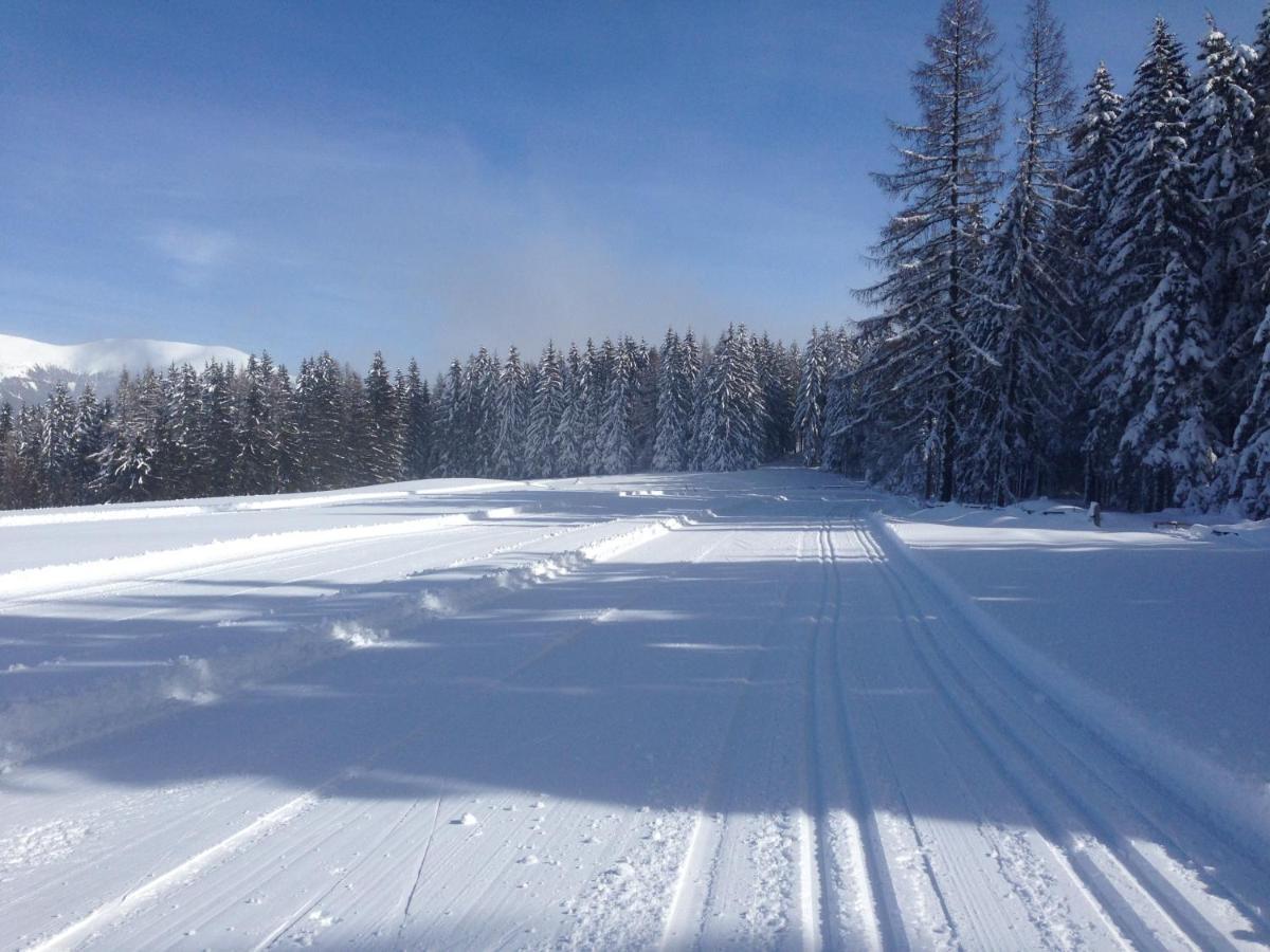 Urlaub Im Zirbenland Villa Obdach Buitenkant foto