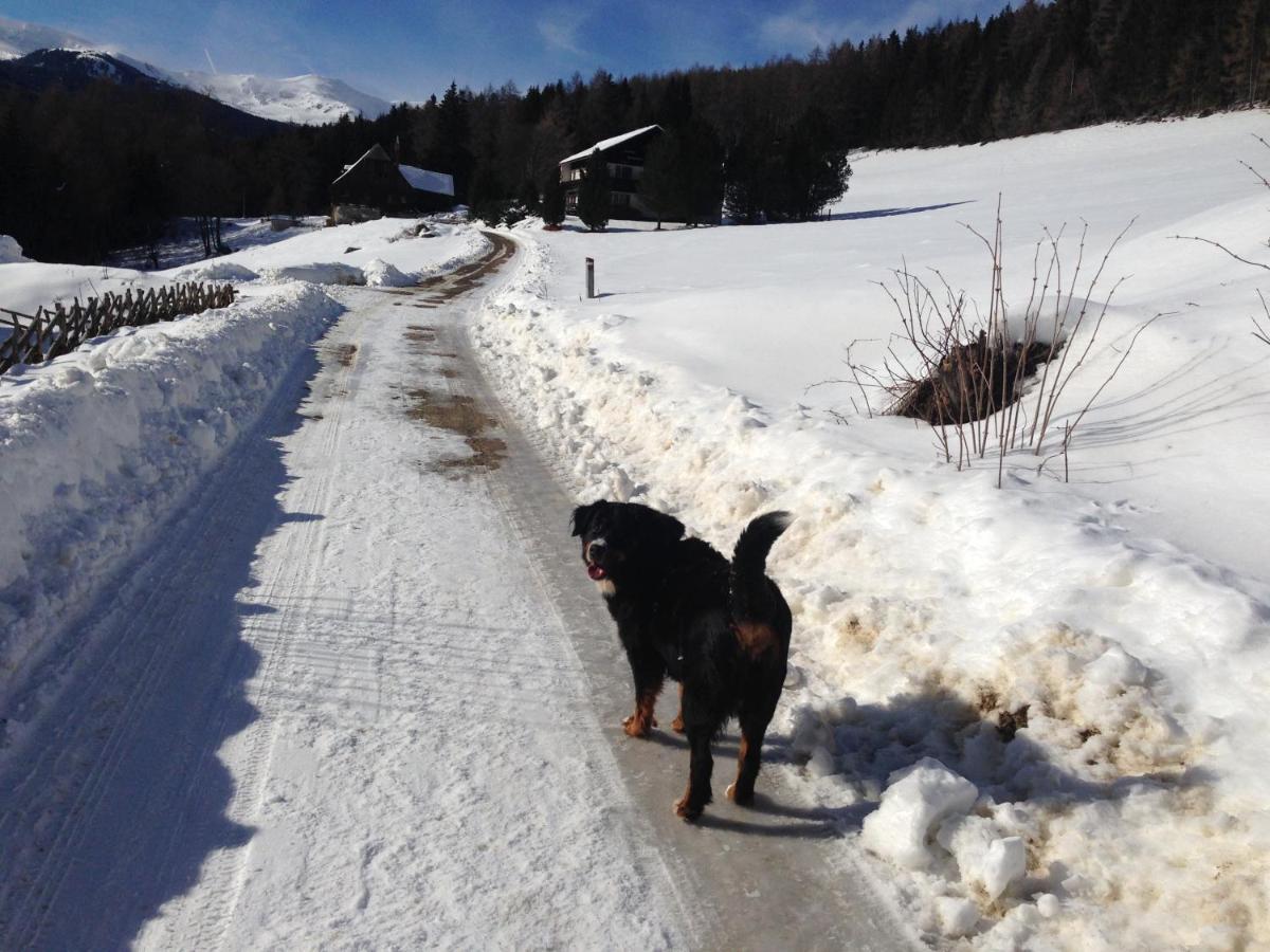 Urlaub Im Zirbenland Villa Obdach Buitenkant foto