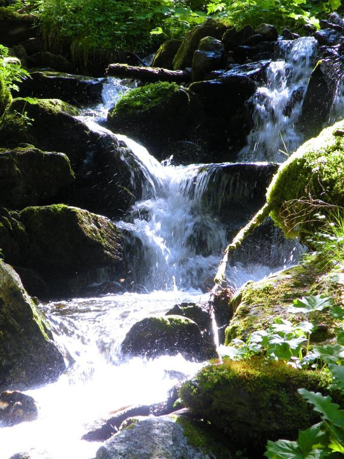 Urlaub Im Zirbenland Villa Obdach Buitenkant foto