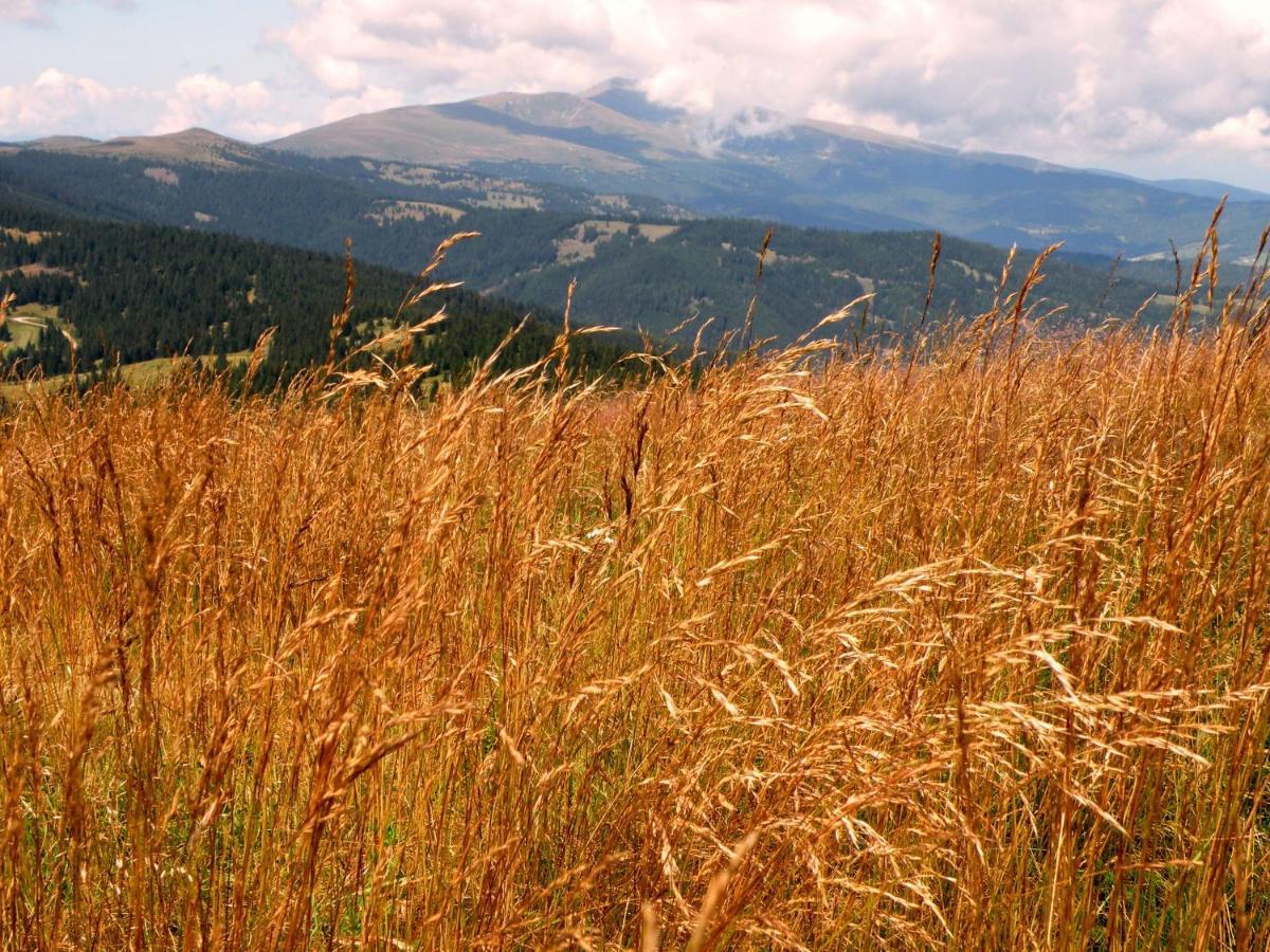 Urlaub Im Zirbenland Villa Obdach Buitenkant foto