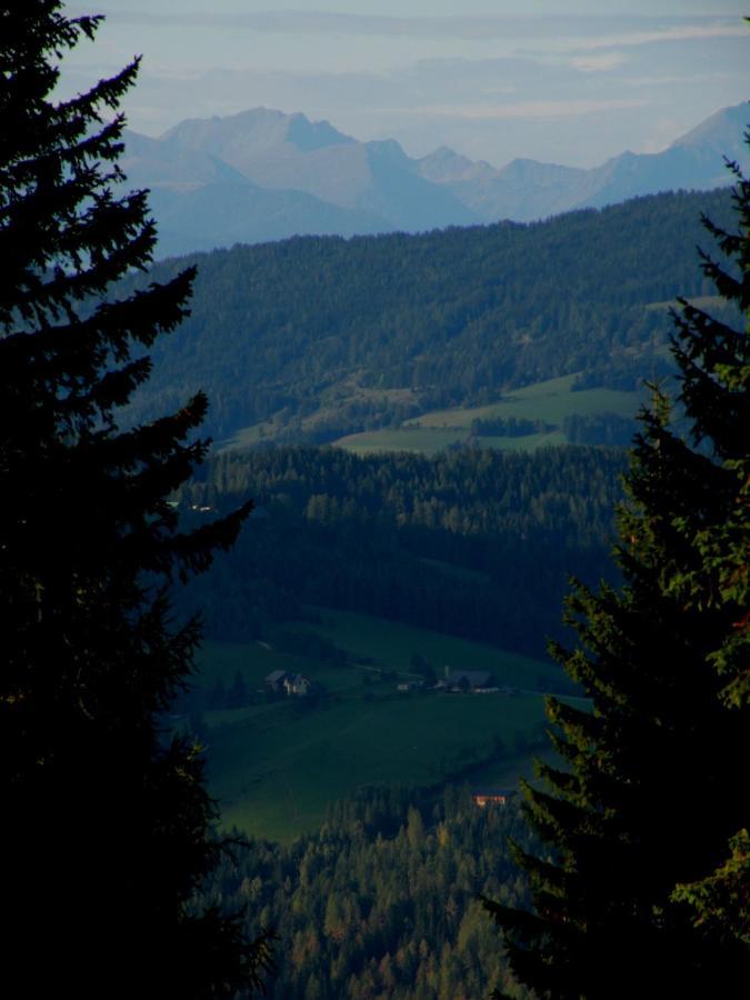 Urlaub Im Zirbenland Villa Obdach Buitenkant foto