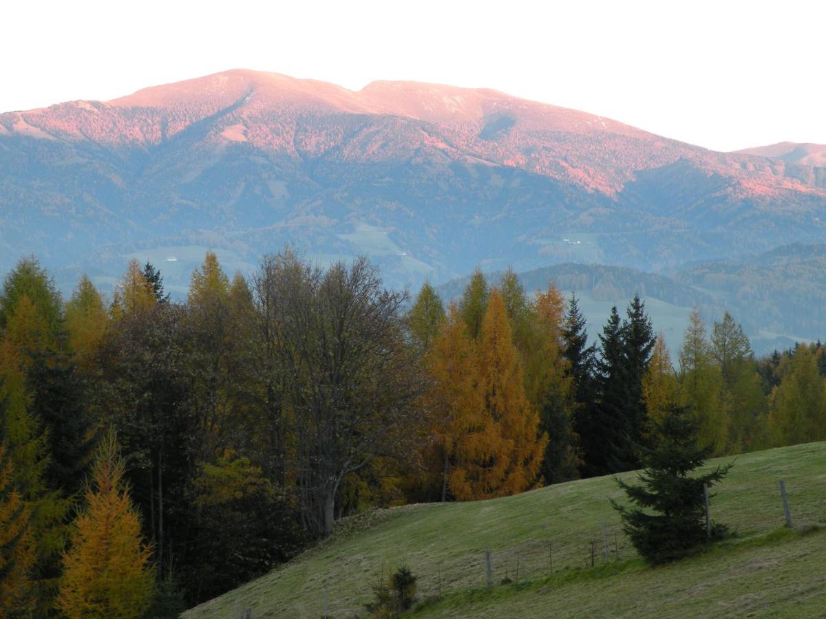 Urlaub Im Zirbenland Villa Obdach Buitenkant foto