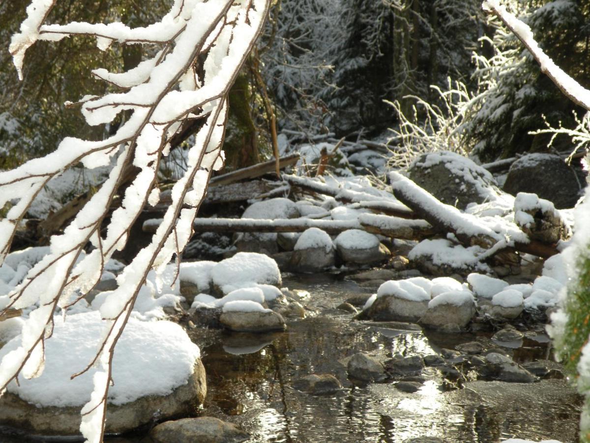 Urlaub Im Zirbenland Villa Obdach Buitenkant foto