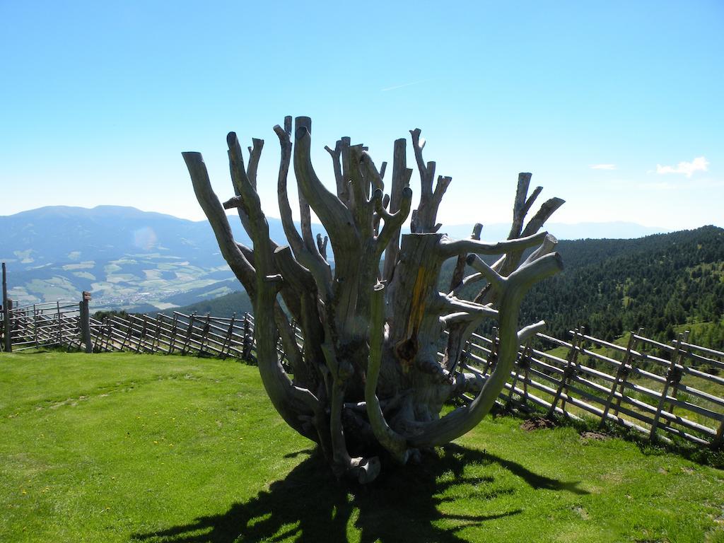 Urlaub Im Zirbenland Villa Obdach Buitenkant foto