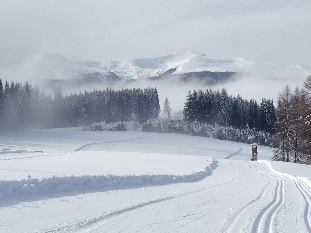 Urlaub Im Zirbenland Villa Obdach Buitenkant foto